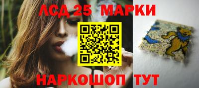 ПСИЛОЦИБИНОВЫЕ ГРИБЫ Нальчик