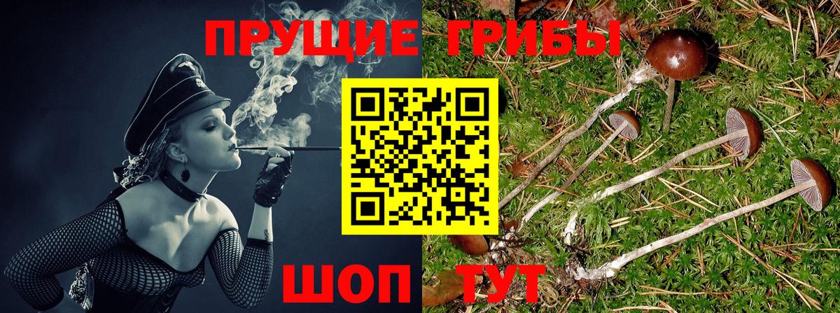 Галлюциногенные грибы мухоморы  Вход с VPN  Троицк 
